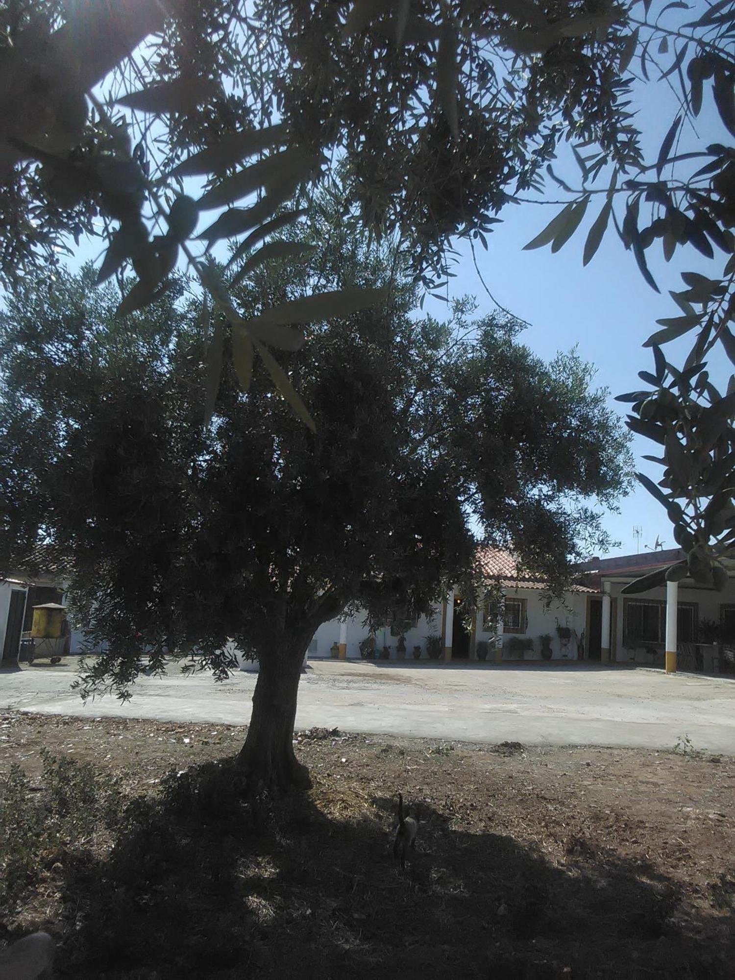 Villa Quintinha Dos Pombinhos Montoito Exterior foto
